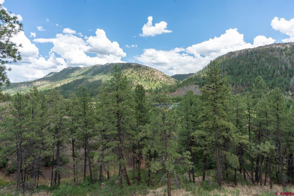 79 Hat Creek Court