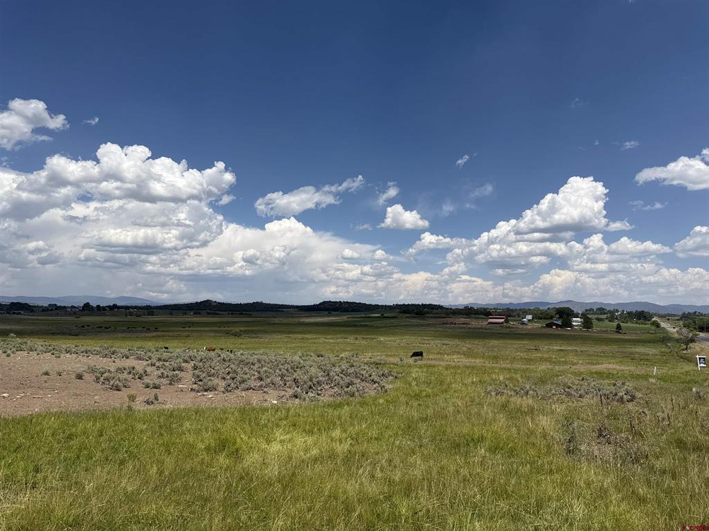 TBD HWY 172