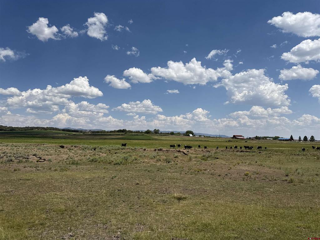 TBD HWY 172