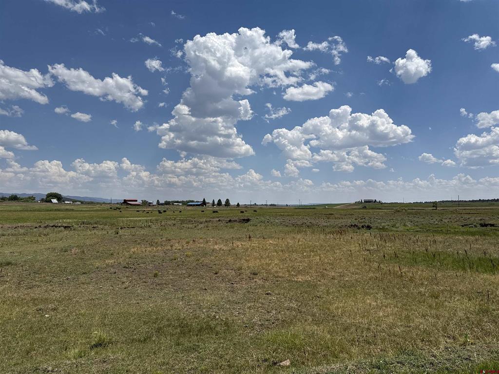 TBD HWY 172