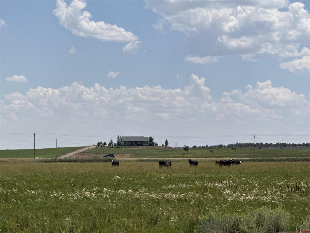 TBD HWY 172