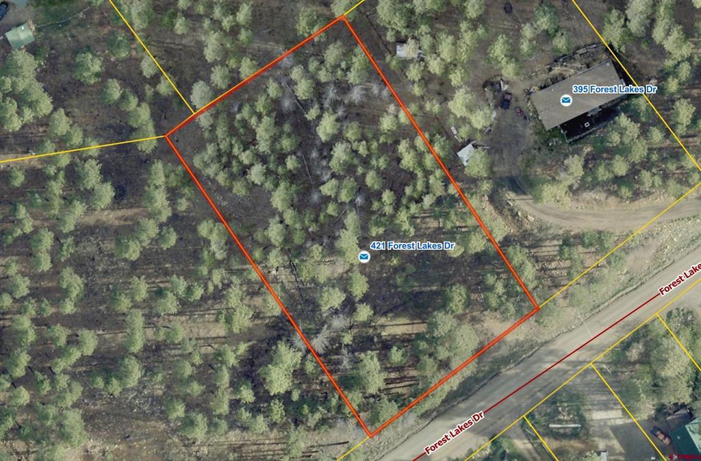 421 Forest Lakes Drive