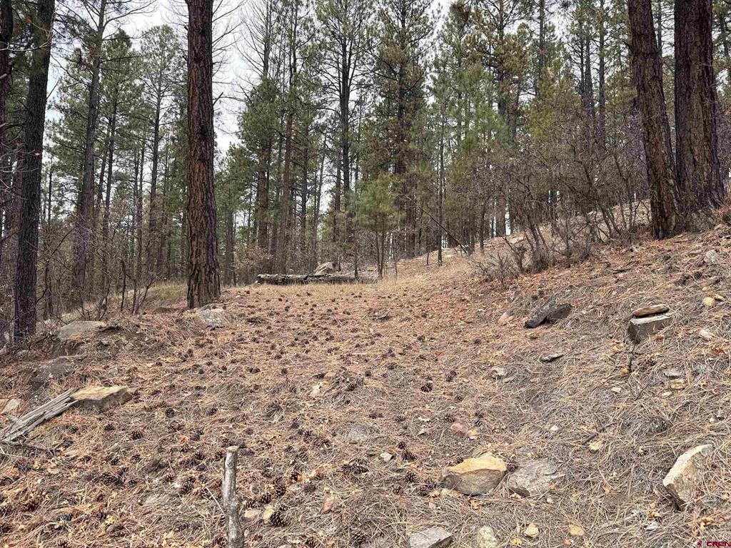 421 Forest Lakes Drive