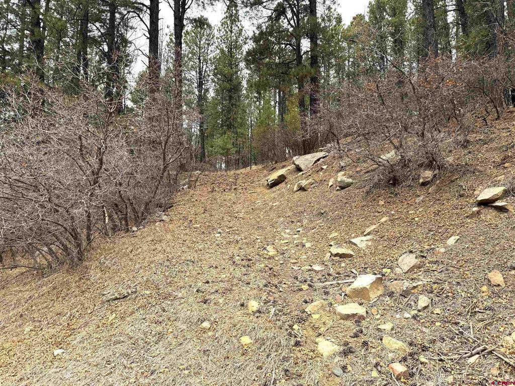 421 Forest Lakes Drive