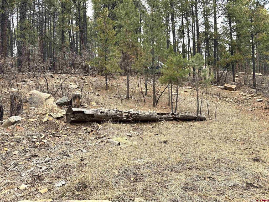 421 Forest Lakes Drive