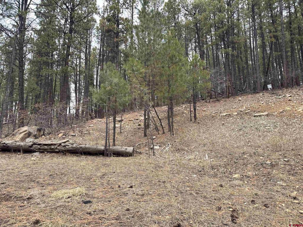 421 Forest Lakes Drive