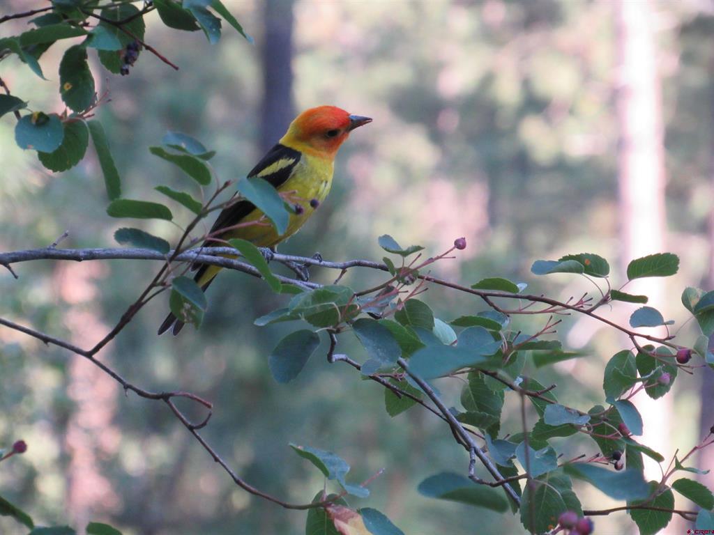 121 Green Ridge Drive Drive