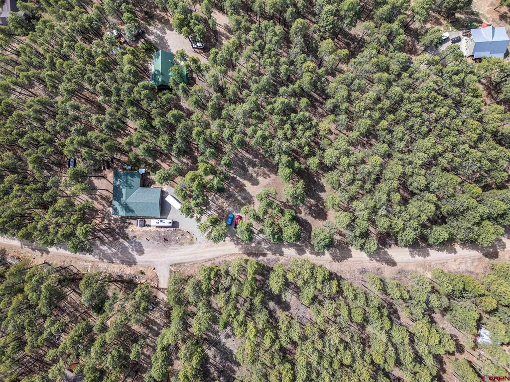 310 Timber Drive