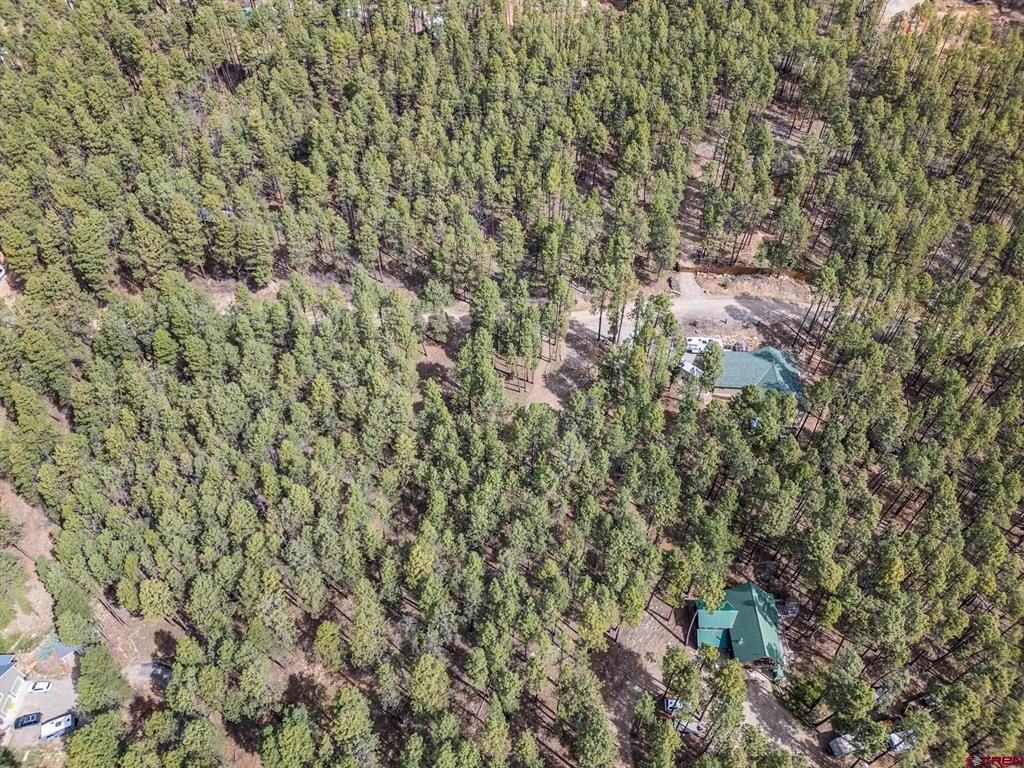 310 Timber Drive