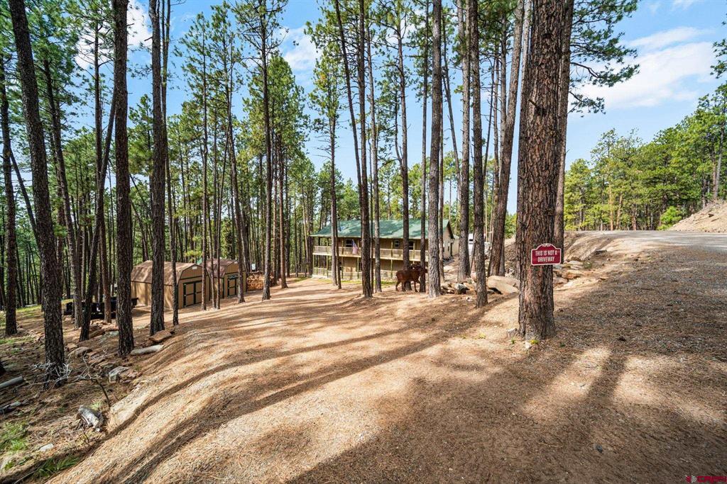 310 Timber Drive