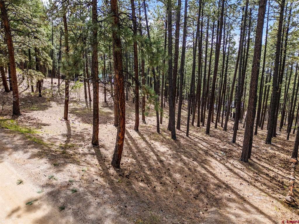 272 Timber Drive