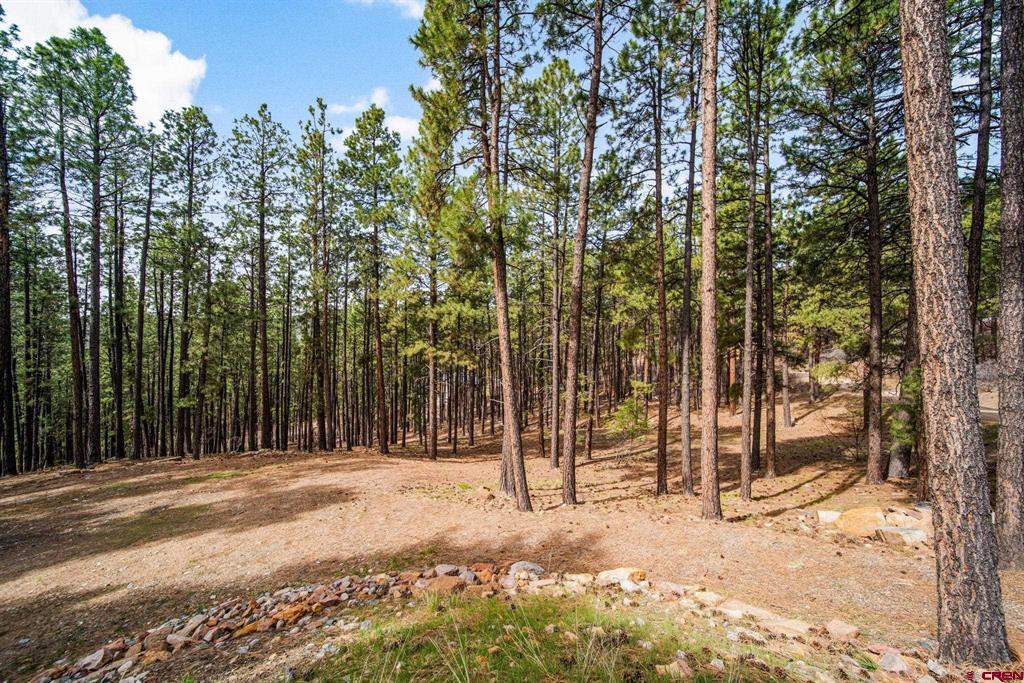 272 Timber Drive