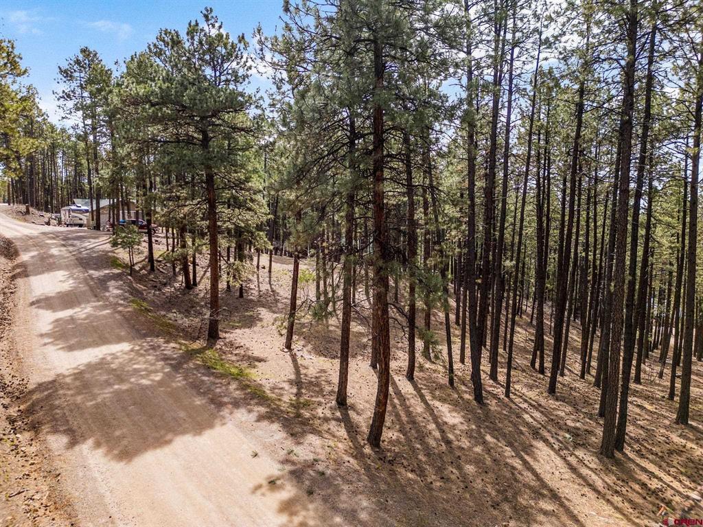 272 Timber Drive