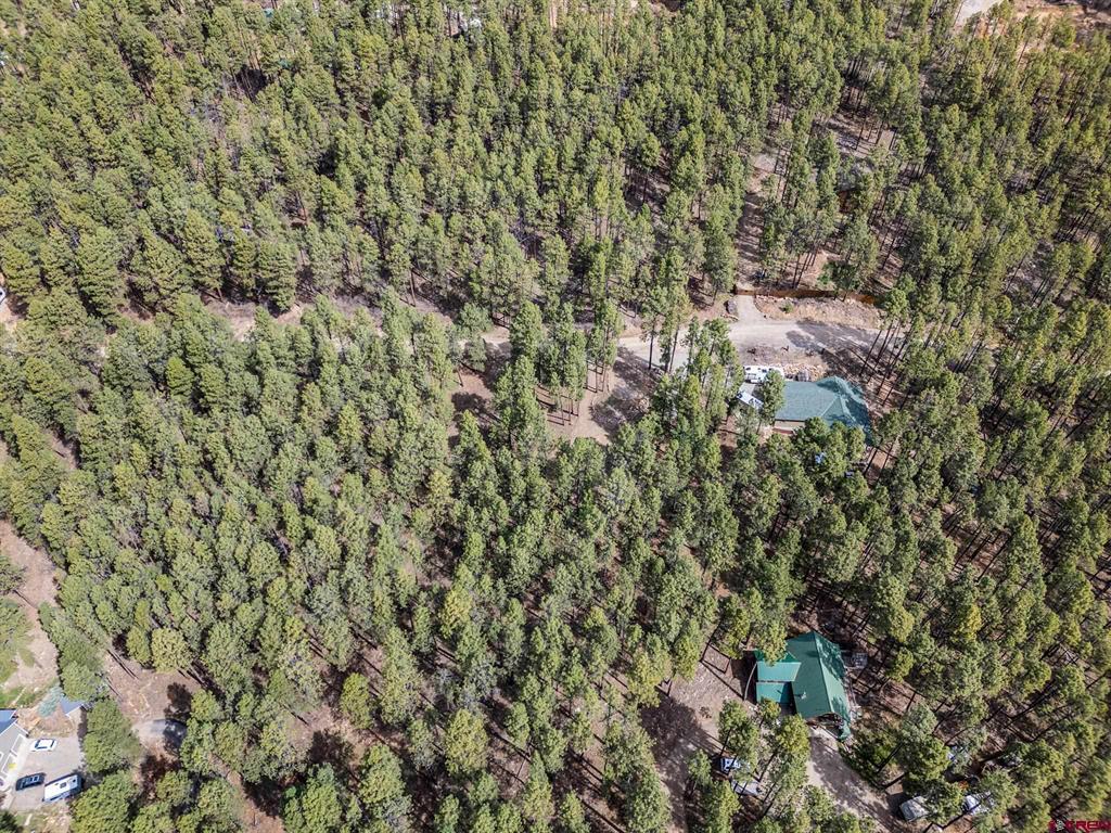 272 Timber Drive