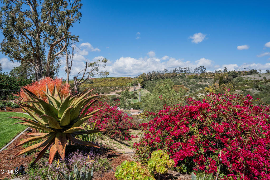 6065 Cielo Vista Court