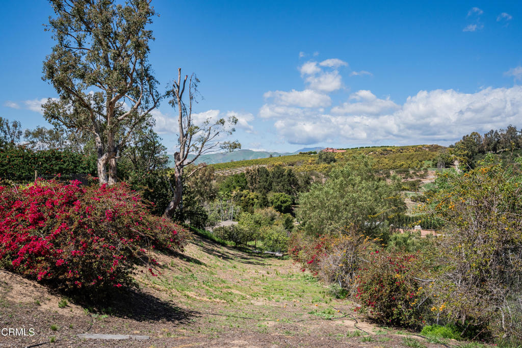 6065 Cielo Vista Court