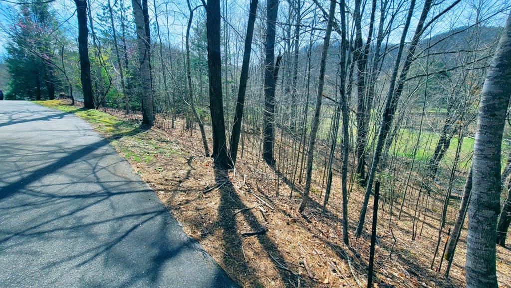 44 Whispering Pines Trl
