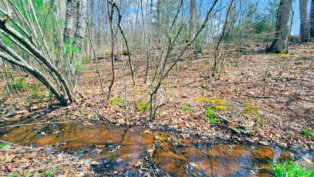 44 Whispering Pines Trl