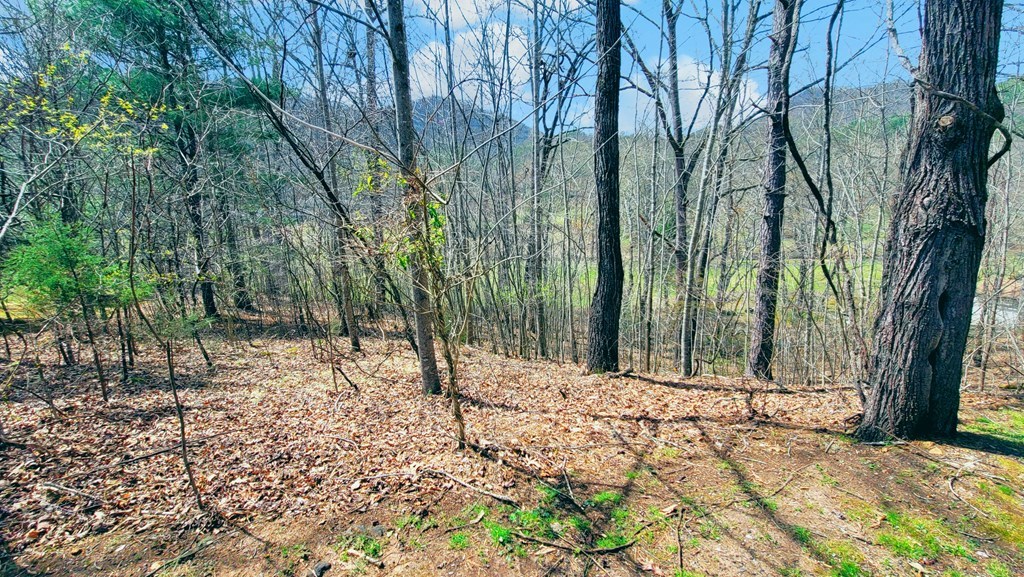 44 Whispering Pines Trl
