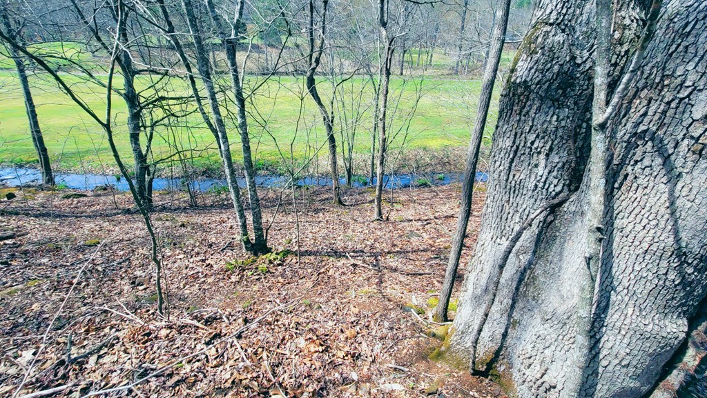 44 Whispering Pines Trl
