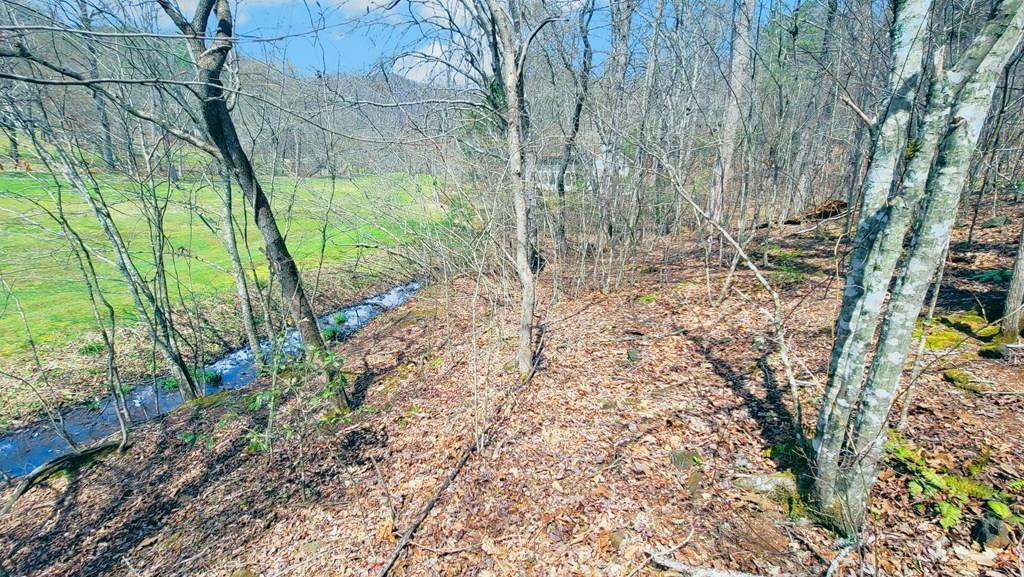 44 Whispering Pines Trl
