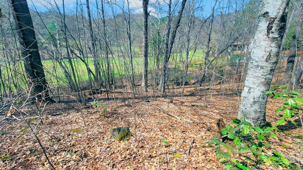 44 Whispering Pines Trl