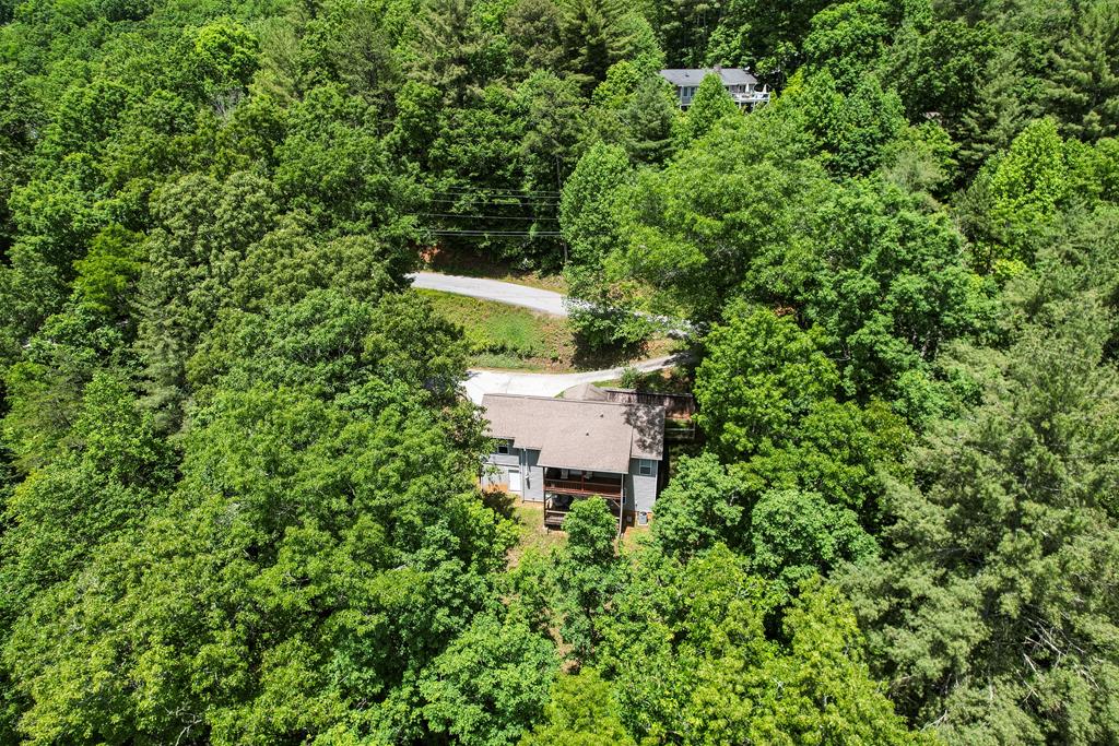 294 Trimont Mountain Rd