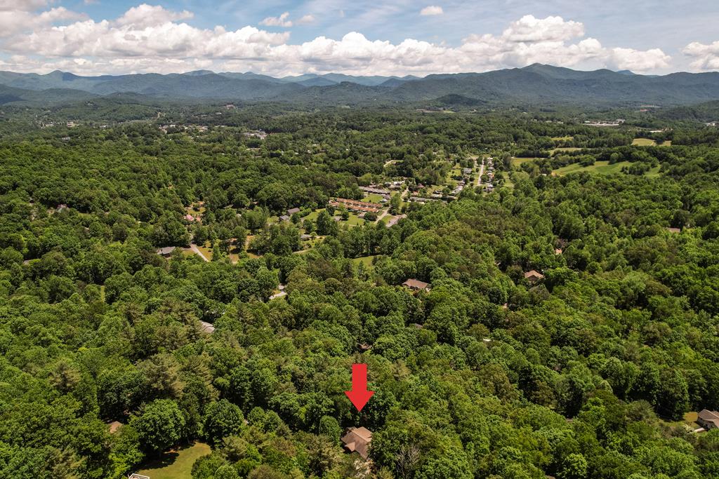 294 Trimont Mountain Rd