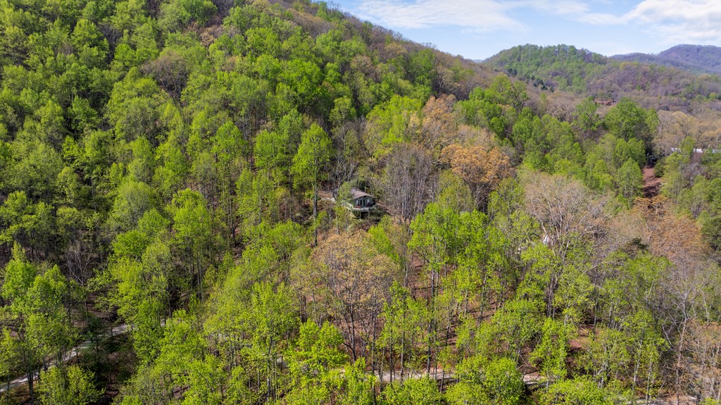 1228 Lowery Ln