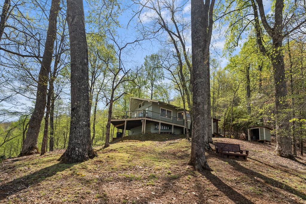 1228 Lowery Ln