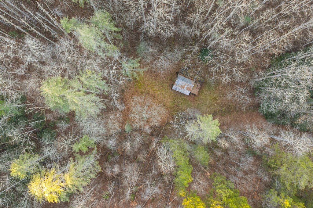 110 Eagles View Rd