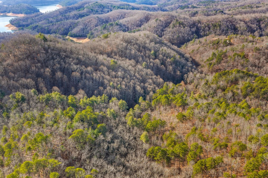 110 Eagles View Rd