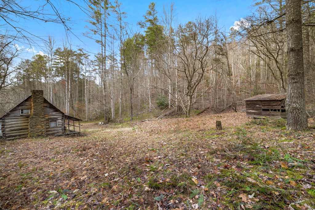 110 Eagles View Rd