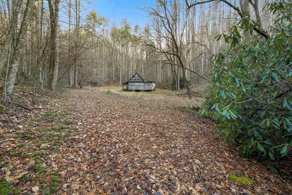 110 Eagles View Rd