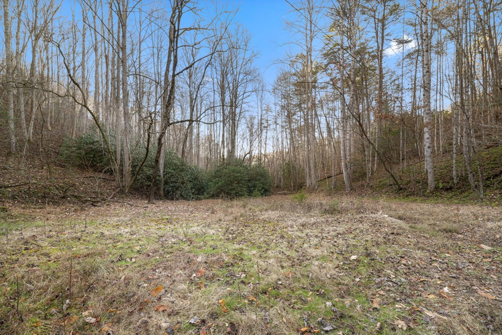 110 Eagles View Rd