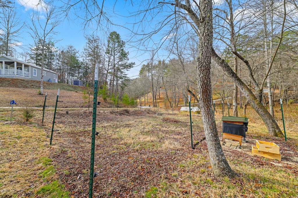 251 Bear Pen Cv