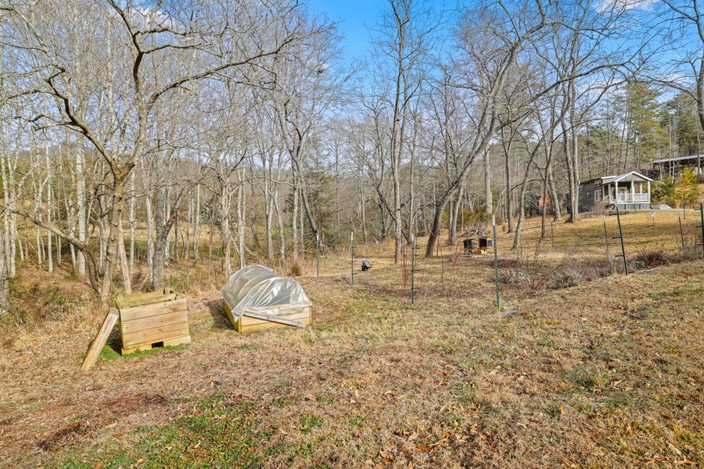 251 Bear Pen Cv