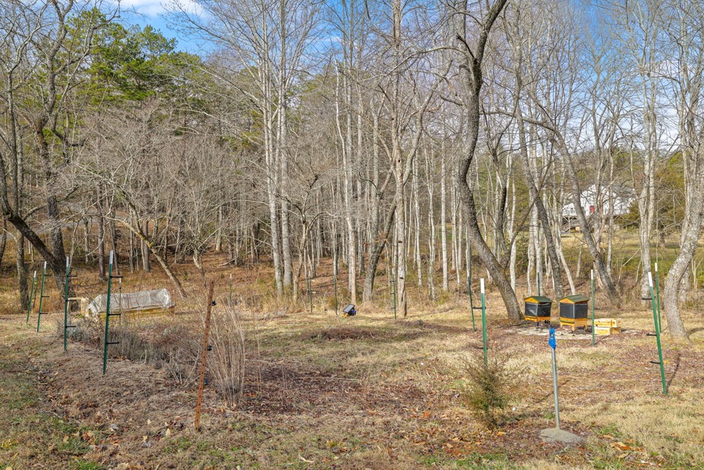 251 Bear Pen Cv