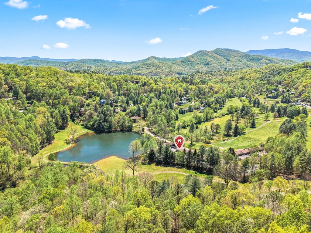 41A Mint Lake Court East
