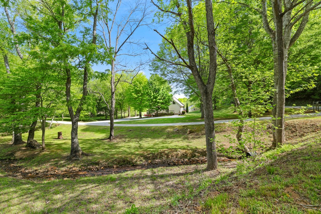 19 Double Branch Cove
