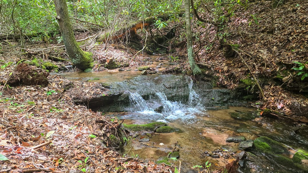 Lot 2 Rainbow Falls Road LOT 2