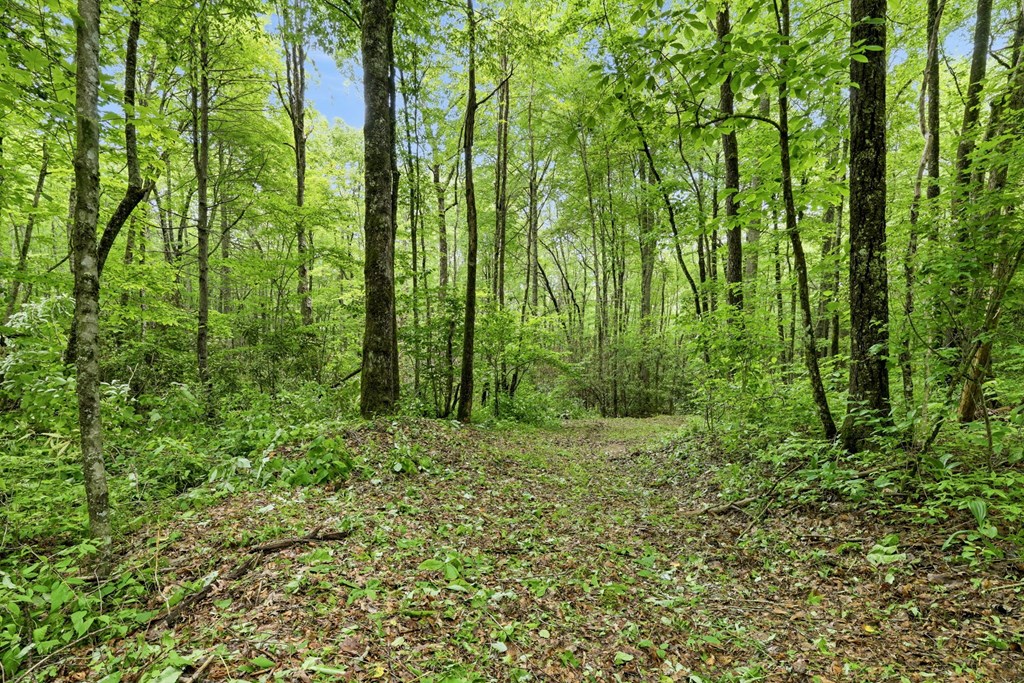 Lot 2 Rainbow Falls Road LOT 2