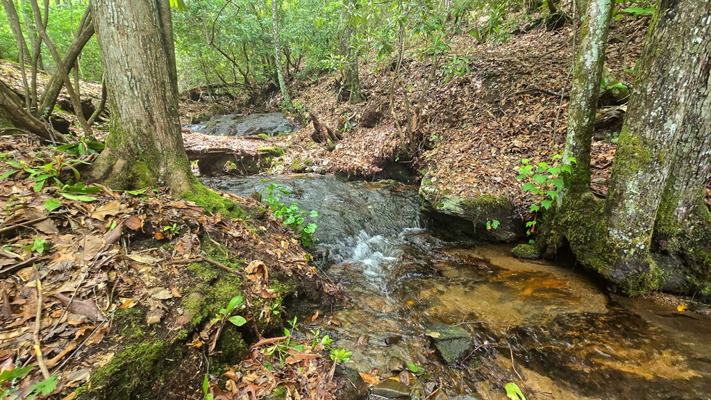 Lot 2 Rainbow Falls Road LOT 2