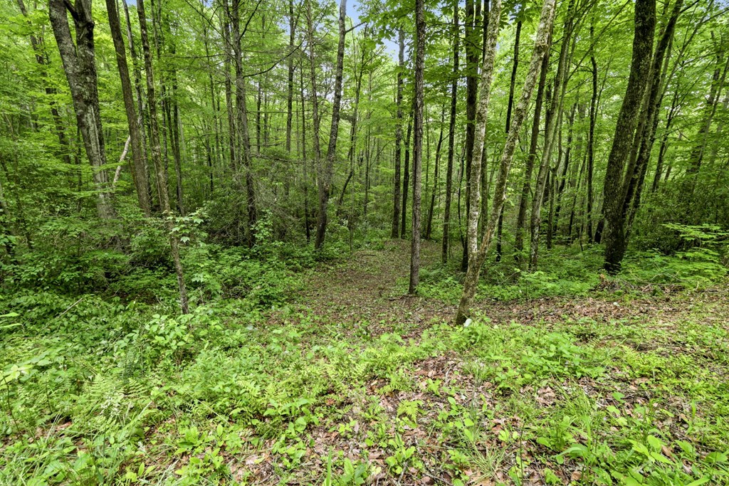 Lot 2 Rainbow Falls Road LOT 2