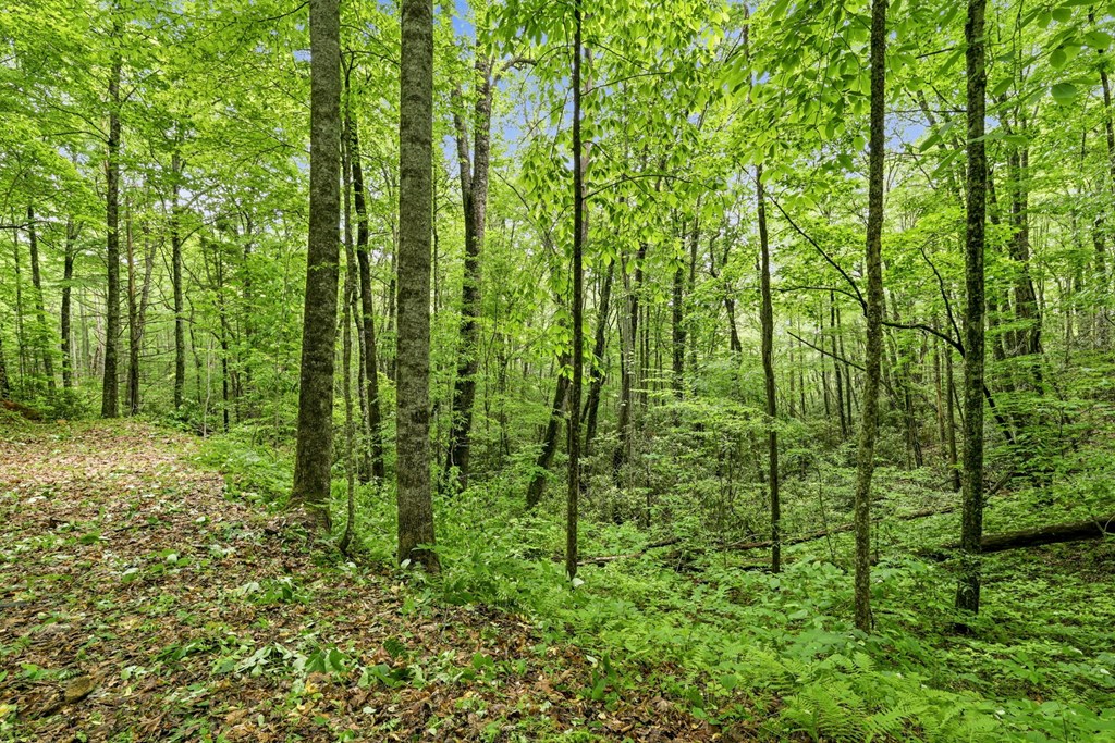 Lot 2 Rainbow Falls Road LOT 2