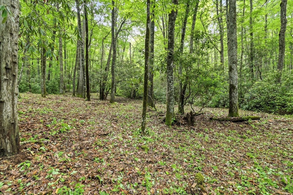 Lot 2 Rainbow Falls Road LOT 2
