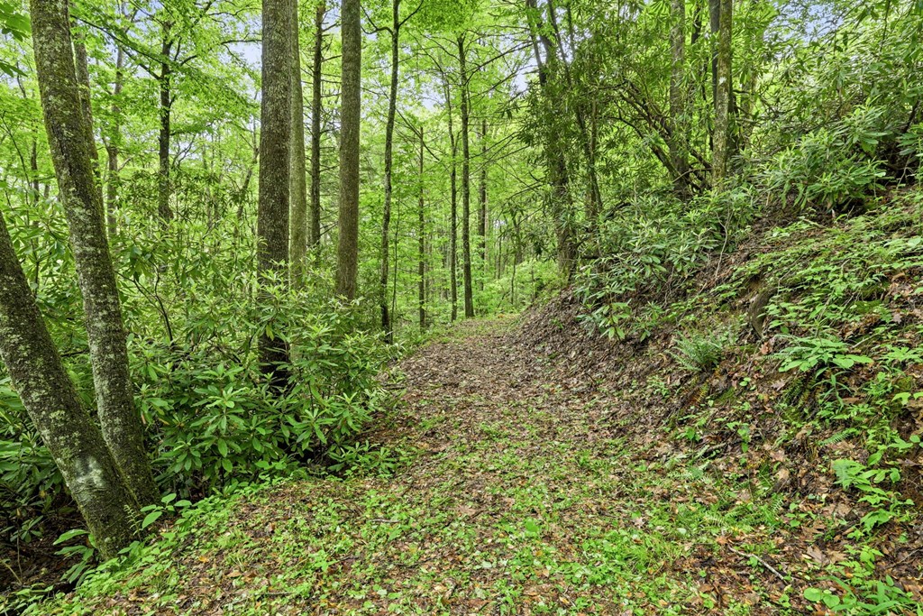 Lot 2 Rainbow Falls Road LOT 2