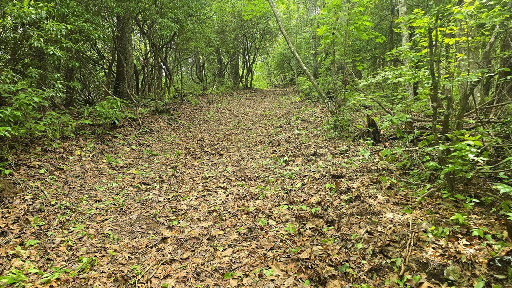 Lot 2 Rainbow Falls Road LOT 2