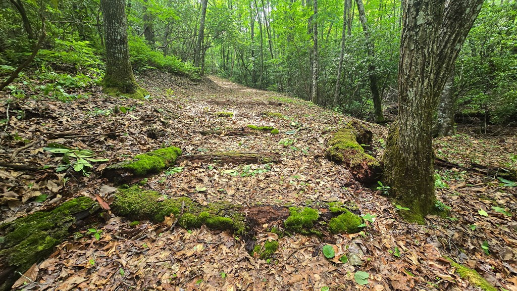Lot 2 Rainbow Falls Road LOT 2