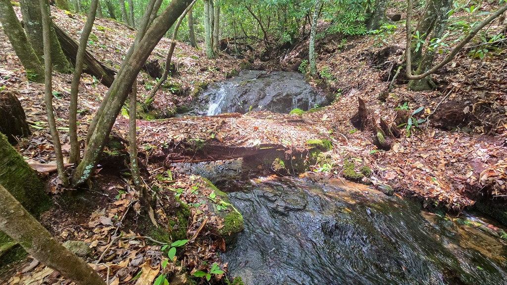 Lot 2 Rainbow Falls Road LOT 2